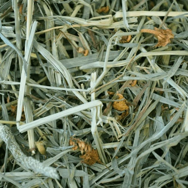 Oxbow Oxbow Botanical Hay