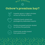 Oxbow Oxbow Botanical Hay
