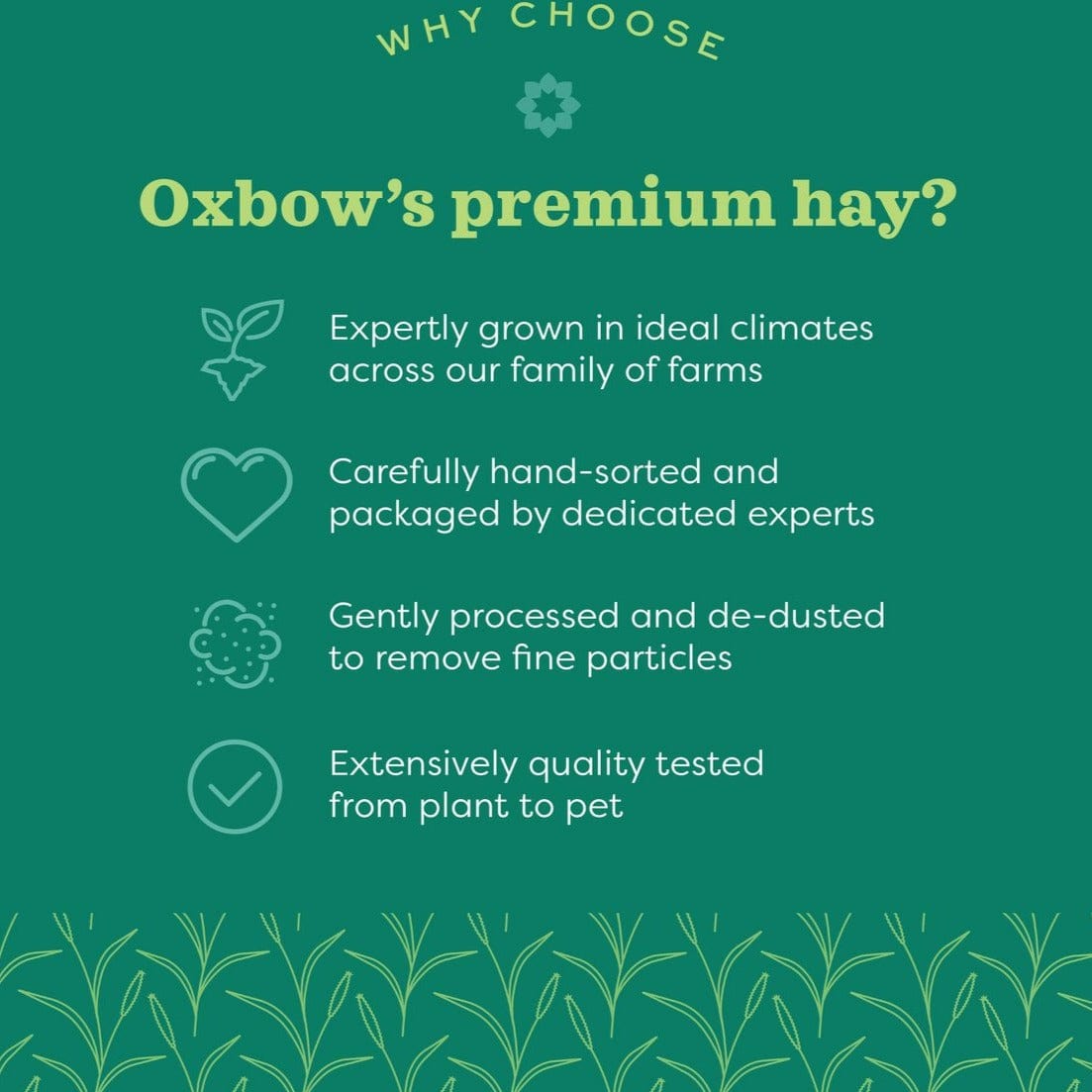 Oxbow Oxbow Botanical Hay
