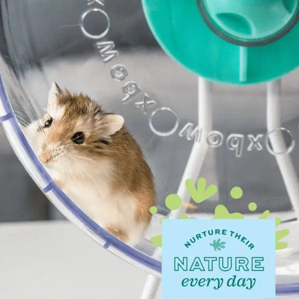 OXBOW Enriched Life 2 in 1 Quiet Runner Wheel 10