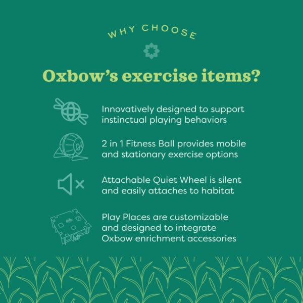 Oxbow Oxbow Enriched Life - 2 in 1 Quiet Runner