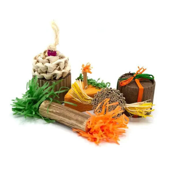 Oxbow Oxbow Enriched Life - Birthday Party Pack