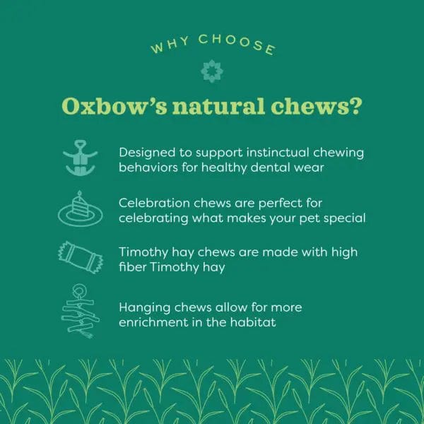Oxbow Oxbow Enriched Life - Birthday Party Pack