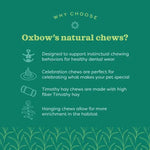 Oxbow Oxbow Enriched Life - Birthday Party Pack
