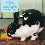 Oxbow Oxbow Enriched Life - Birthday Party Pack