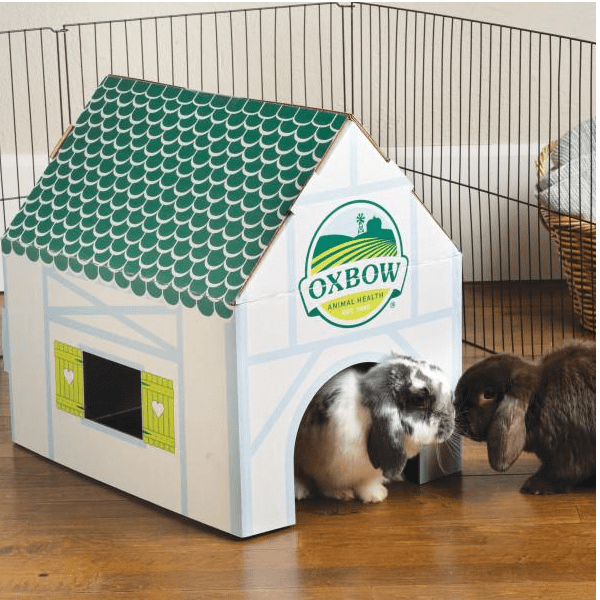 Oxbow Guinea Pig Cage With Play Yard Dwarf Rabbit Oxbow