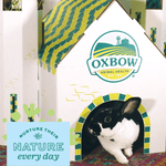 Oxbow Oxbow Enriched Life - Hideaway Dream Cottage