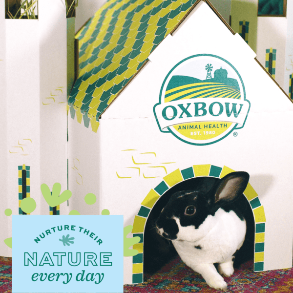 Oxbow Oxbow Enriched Life - Hideaway Dream Cottage