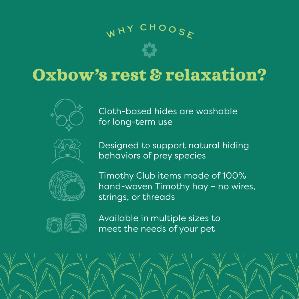 Oxbow Oxbow Enriched Life - Honeycomb Hammock
