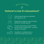 Oxbow Oxbow Enriched Life - Honeycomb Hammock