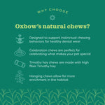 Oxbow Oxbow Enriched Life - Ox Blocks