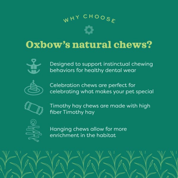 Oxbow Oxbow Enriched Life - Ox Blocks