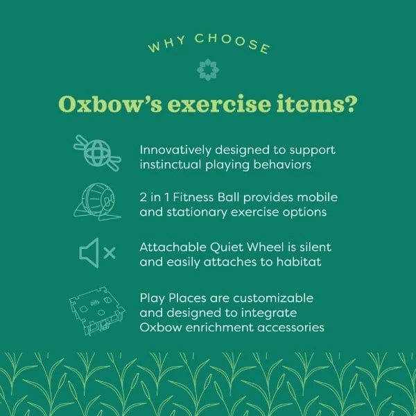 Oxbow Oxbow Enriched Life - Run & Hide