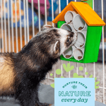 Oxbow Oxbow Enriched Life - The Treat House