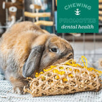 Oxbow Oxbow Enriched Life - Timothy Popsicle