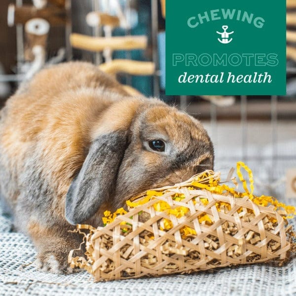 Oxbow Oxbow Enriched Life - Timothy Popsicle