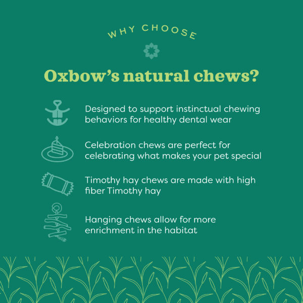 Oxbow Oxbow Enriched Life - Timothy Star Dish