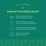 Oxbow Oxbow Essentials Adult Guinea Pig Food