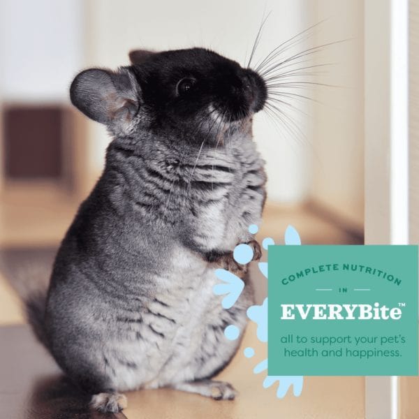 Oxbow Oxbow Essentials Chinchilla Food