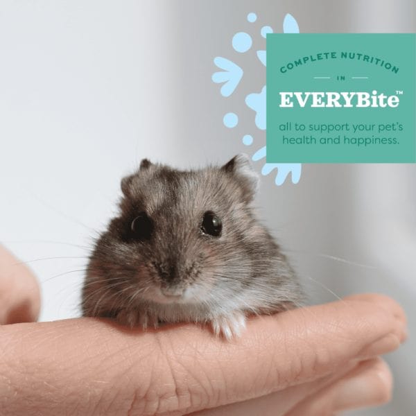 Oxbow Oxbow Essentials Hamster & Gerbil Food
