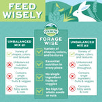 Oxbow Oxbow Forage Wise Adult Rabbit Food