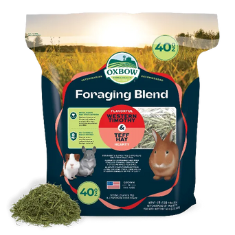 Oxbow Oxbow Foraging Hay Blend Teff & Western Timothy