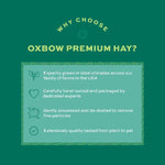Oxbow Oxbow Foraging Hay Blend Teff & Western Timothy