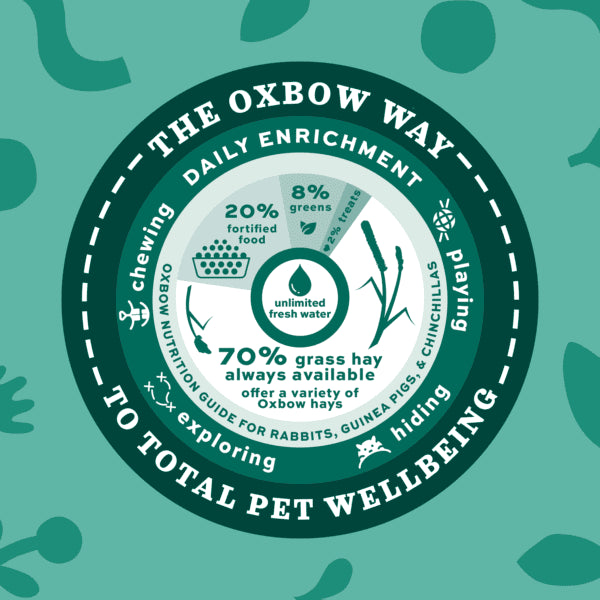 Oxbow Oxbow Foraging Hay Blend Teff & Western Timothy