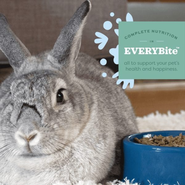 Oxbow Oxbow Garden Select Adult Rabbit Food
