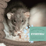 Oxbow Oxbow Garden Select Adult Rat Food