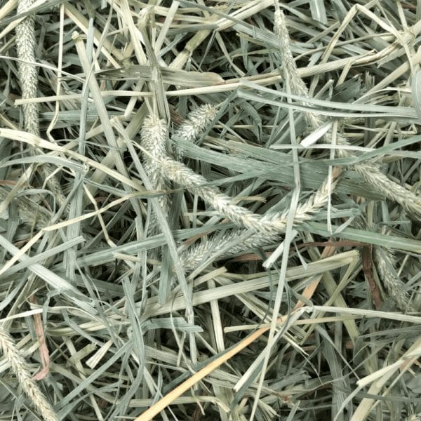 Oxbow Oxbow Hay Blends Western Timothy & Orchard Grass
