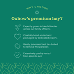 Oxbow Oxbow Oat Hay