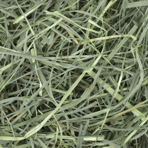 Oxbow Oxbow Orchard Grass Hay