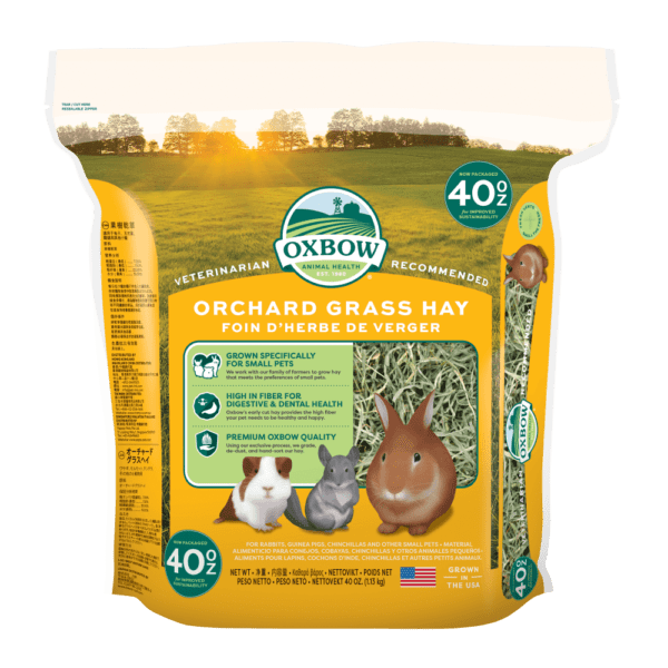 Bunny diapers petsmart online