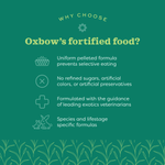 Oxbow Oxbow Organic Bounty Adult Guinea Pig Food