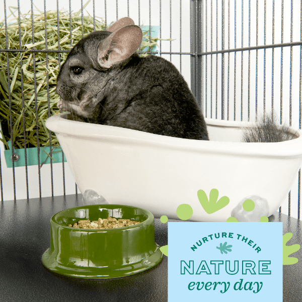 Oxbow Oxbow Poof! Chinchilla Dust Bath