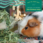 Oxbow Oxbow Prime Cut Hay; Soft & Lush