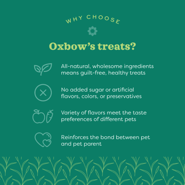 Oxbow Oxbow Simple Rewards Baked Treats with Apple & Banana