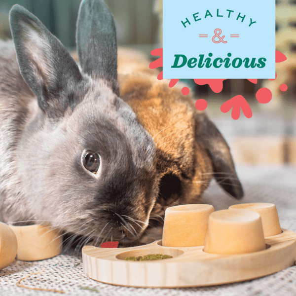 Oxbow Oxbow Simple Rewards Freeze Dried Strawberry Treats