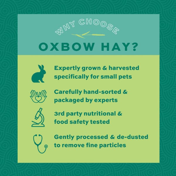 Oxbow Oxbow Western Timothy Hay