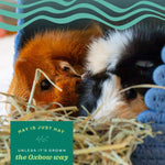 Oxbow Oxbow Western Timothy Hay