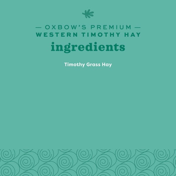 Oxbow Oxbow Western Timothy Hay