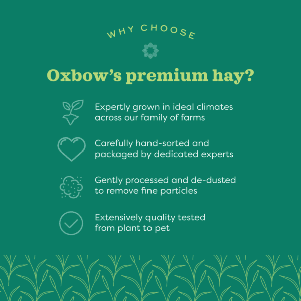 Oxbow Oxbow Western Timothy Hay