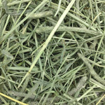 Oxbow Oxbow Western Timothy Hay