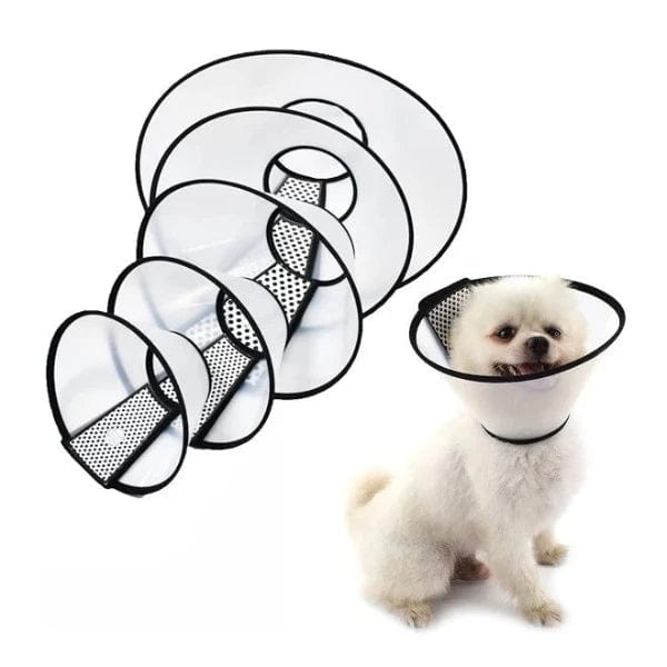 Pawise Recovery E-Collar – Petland Canada - Main Image