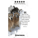 Pawtanical Pawtanical PawDaily Full Spectrum Health Oil For Pets