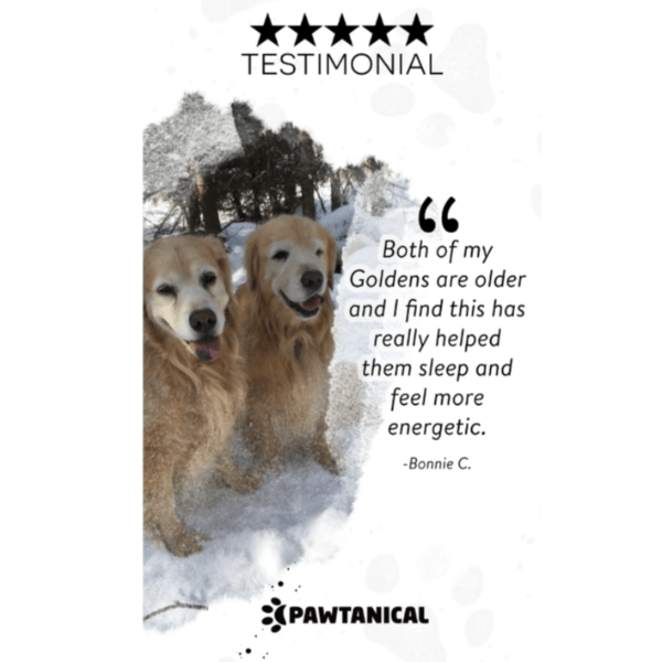 Pawtanical Pawtanical PawDaily Full Spectrum Health Oil For Pets
