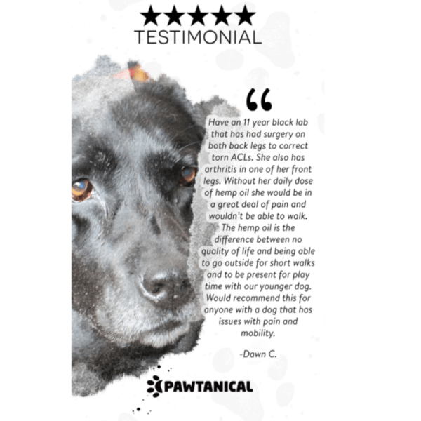 Pawtanical Pawtanical PawDaily Full Spectrum Health Oil For Pets