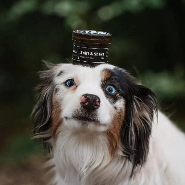 Pawtanical Pawtanical Sniff & Shake - Nose & Paw Balm