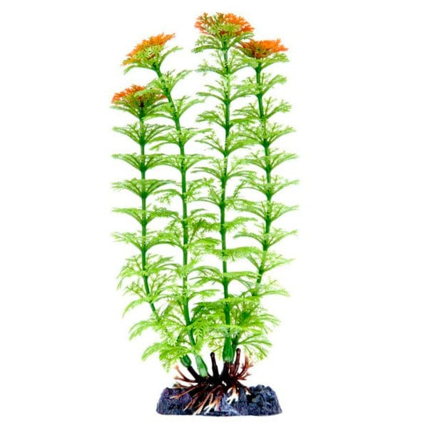 Penn Plax Sinker Plant Ambulia Medium